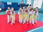 Nagdalyan team taekwondo (просп. Художников, 24, корп. 2, Санкт-Петербург), спортивный клуб, секция в Санкт‑Петербурге