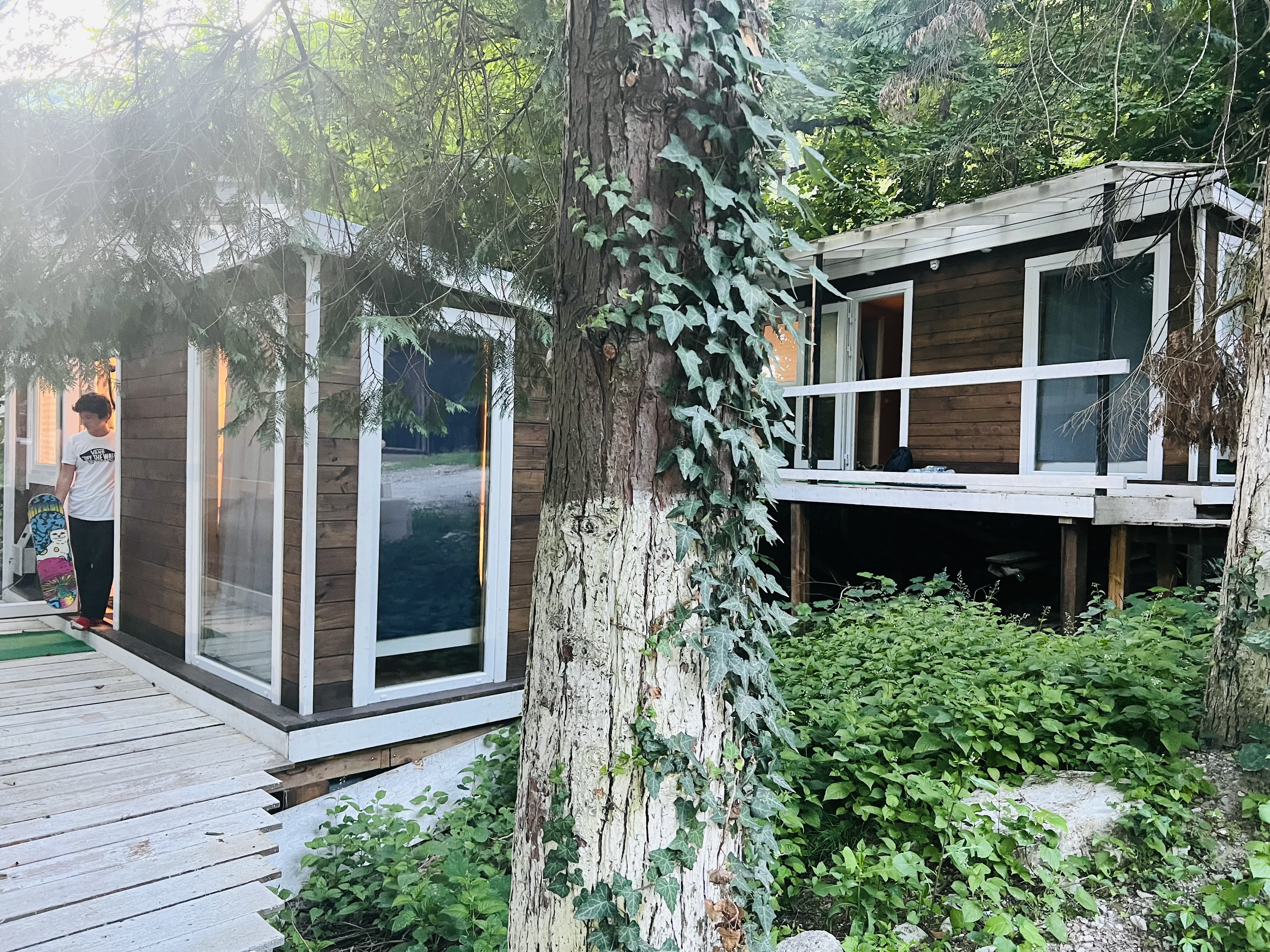 Фото Зайки в домике