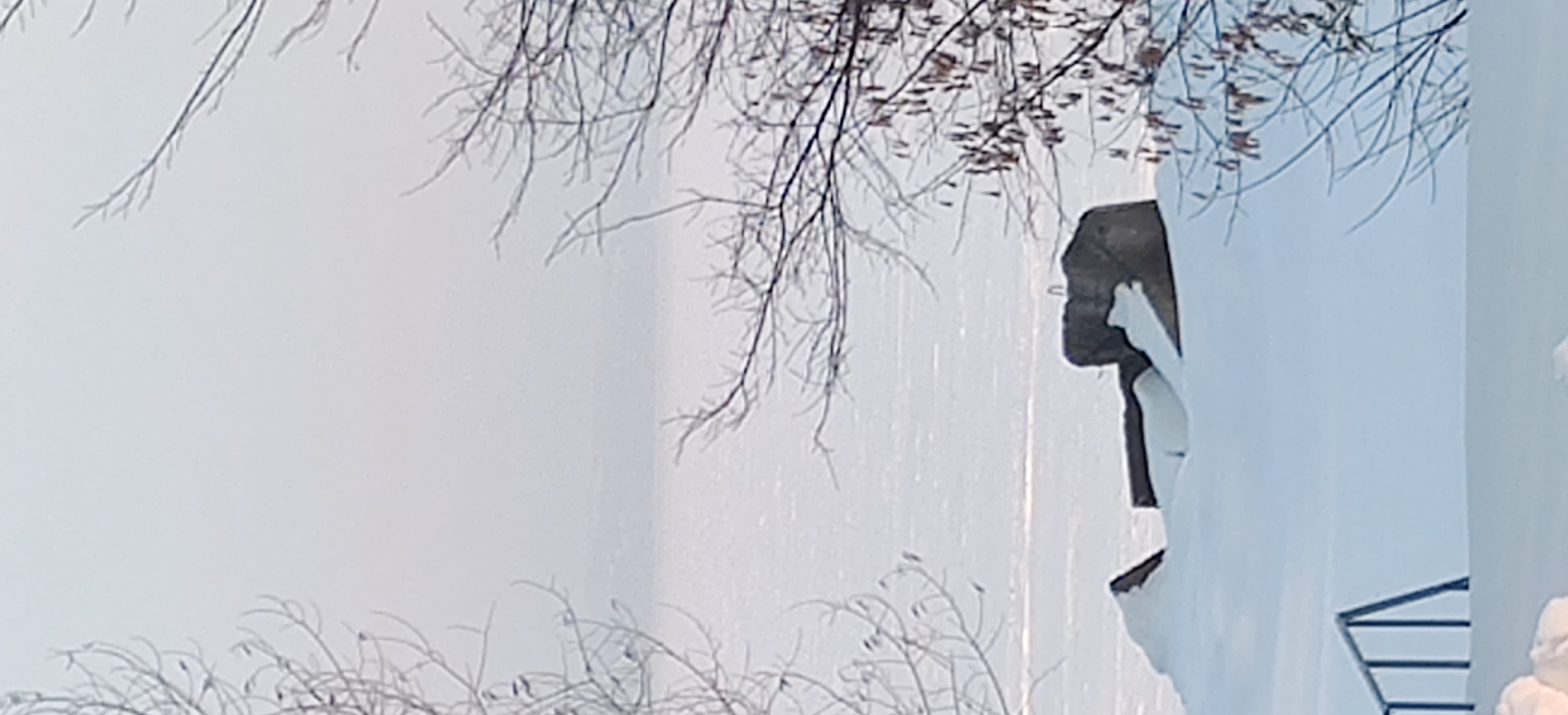 Фото Солнечный