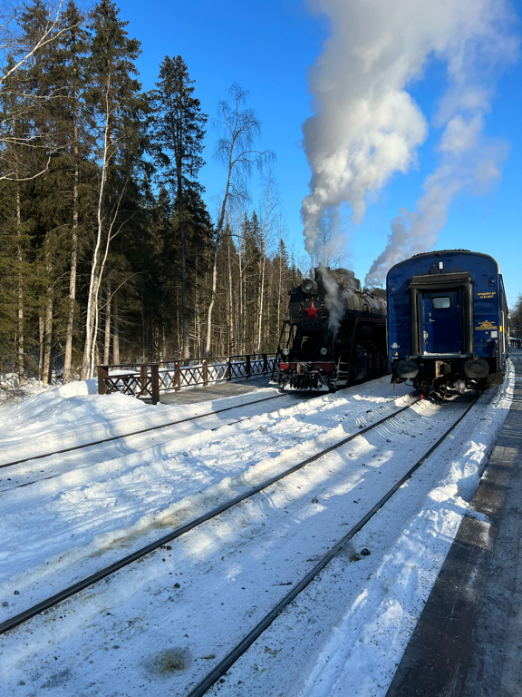 Фото Шелест
