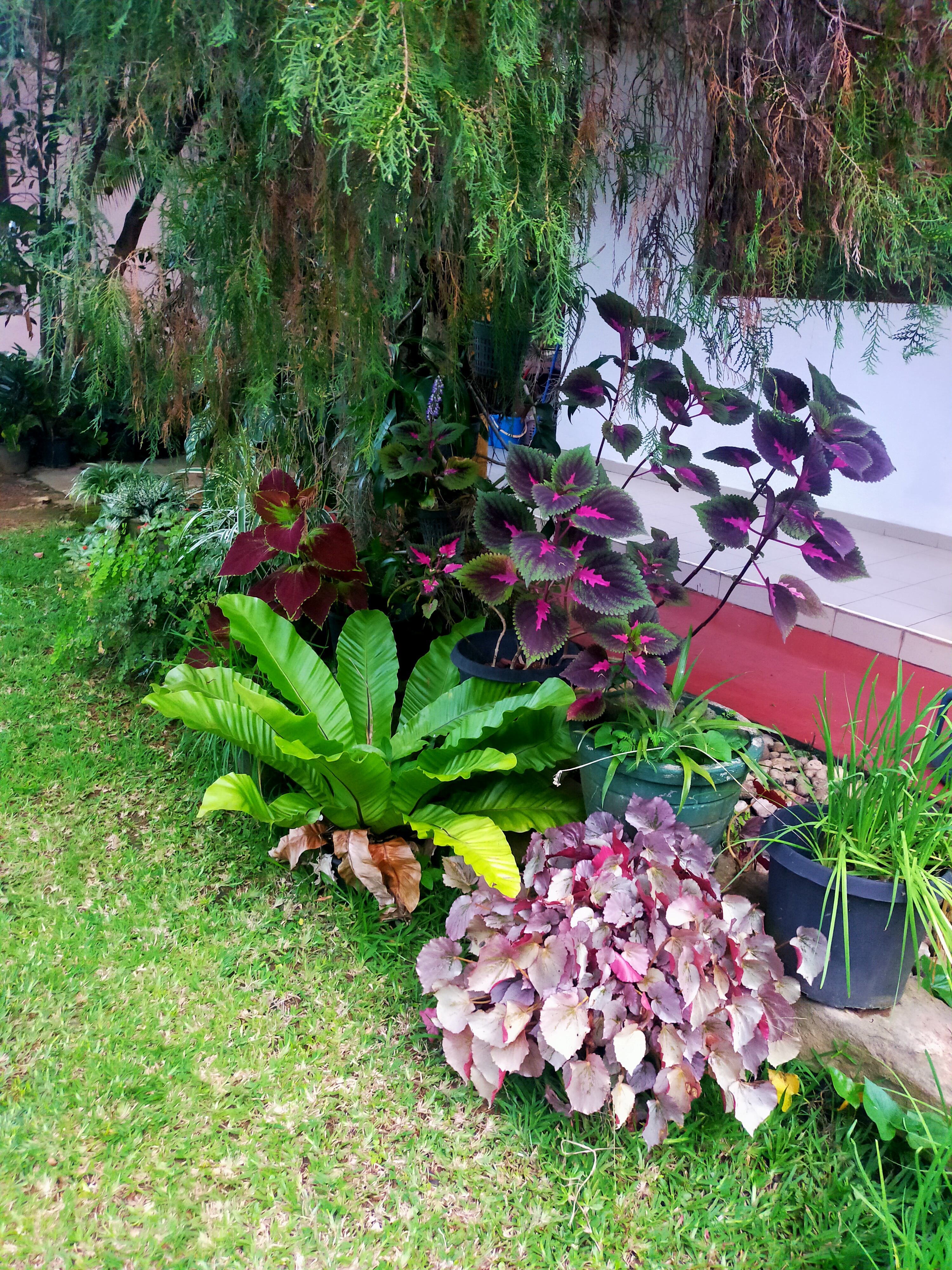 Фото Tamara Motels