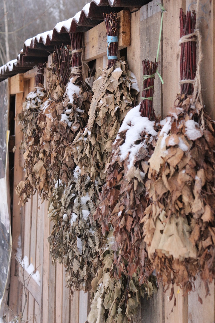 Фото Пушкинские дачи