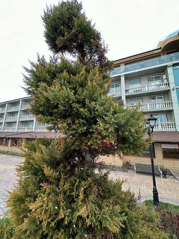 Фото Ribera Resort & SPA