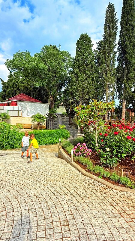 Роза мира — фото 11