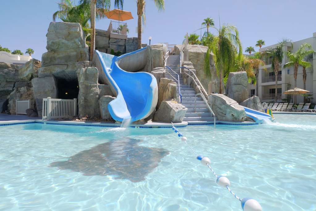 Фото Palm Canyon Resort