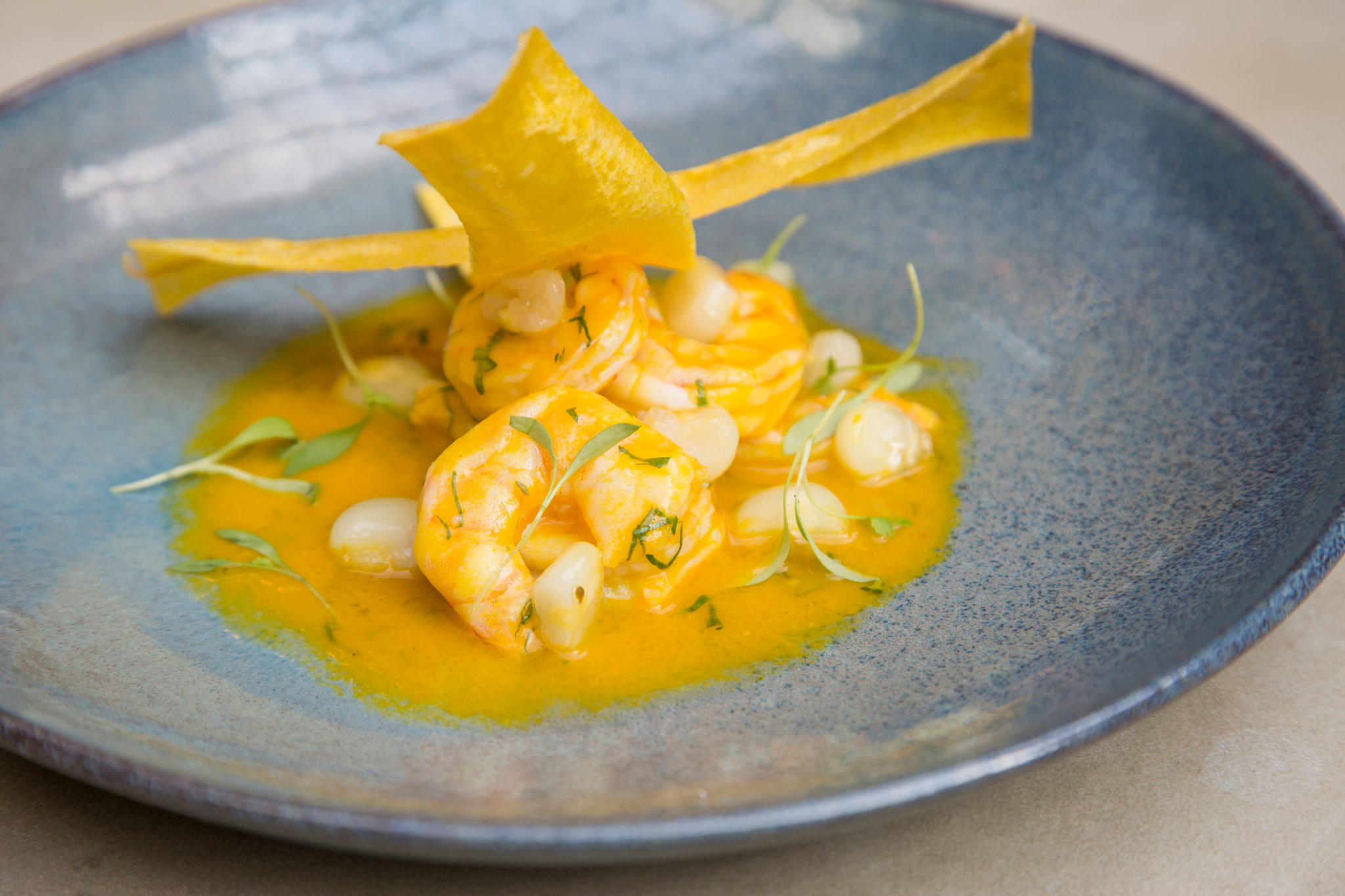 Фото Kimpton Gray Hotel, an Ihg Hotel