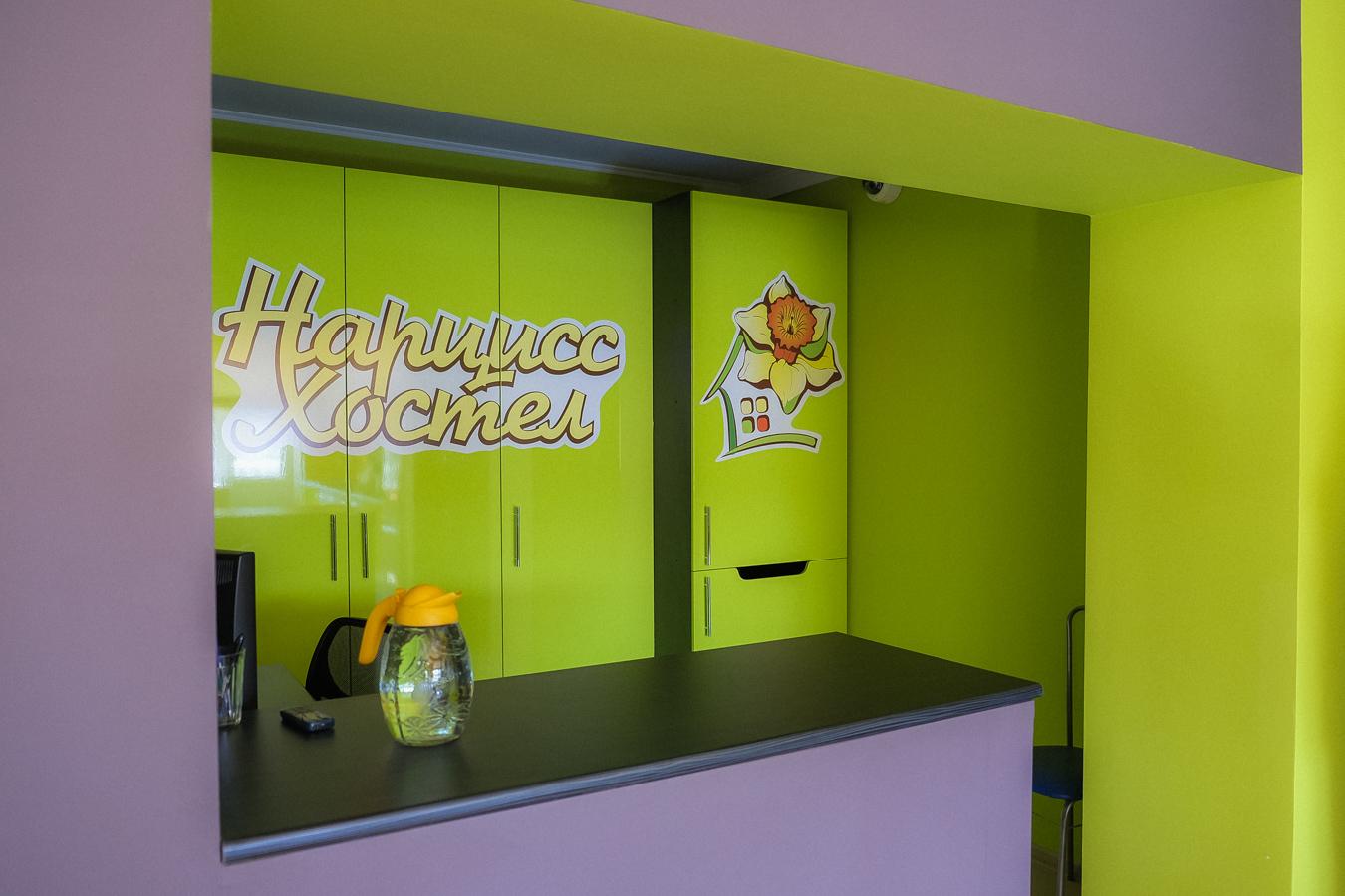 Фото Нарцисс