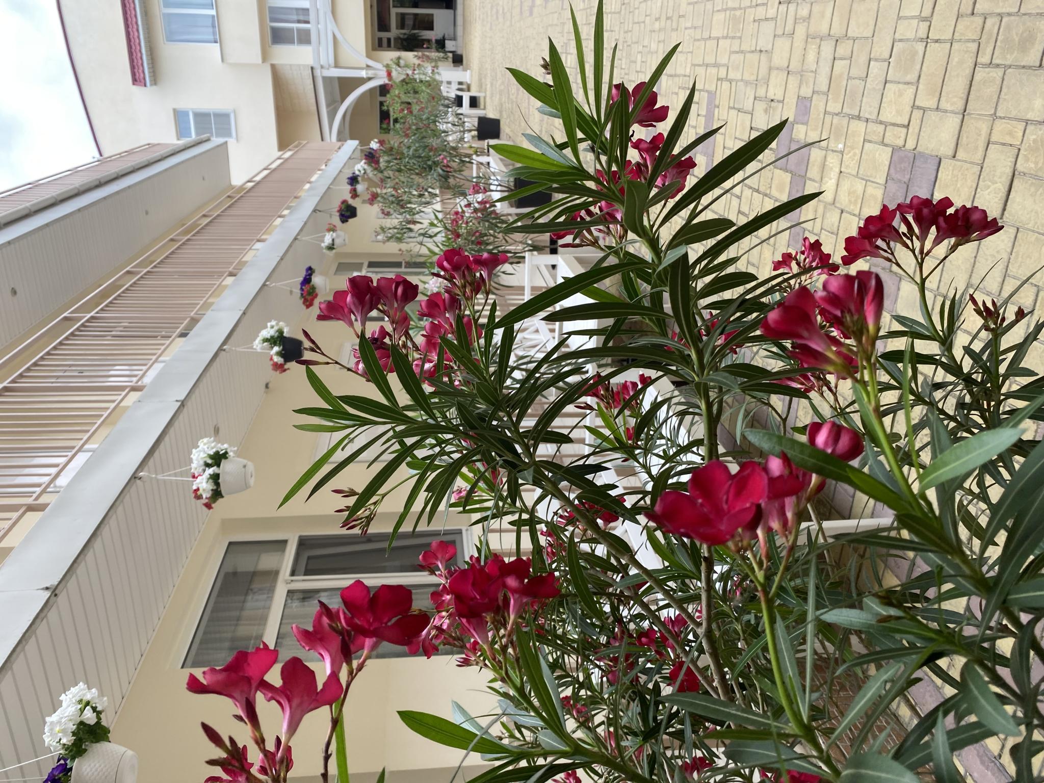 Фото Черноморская