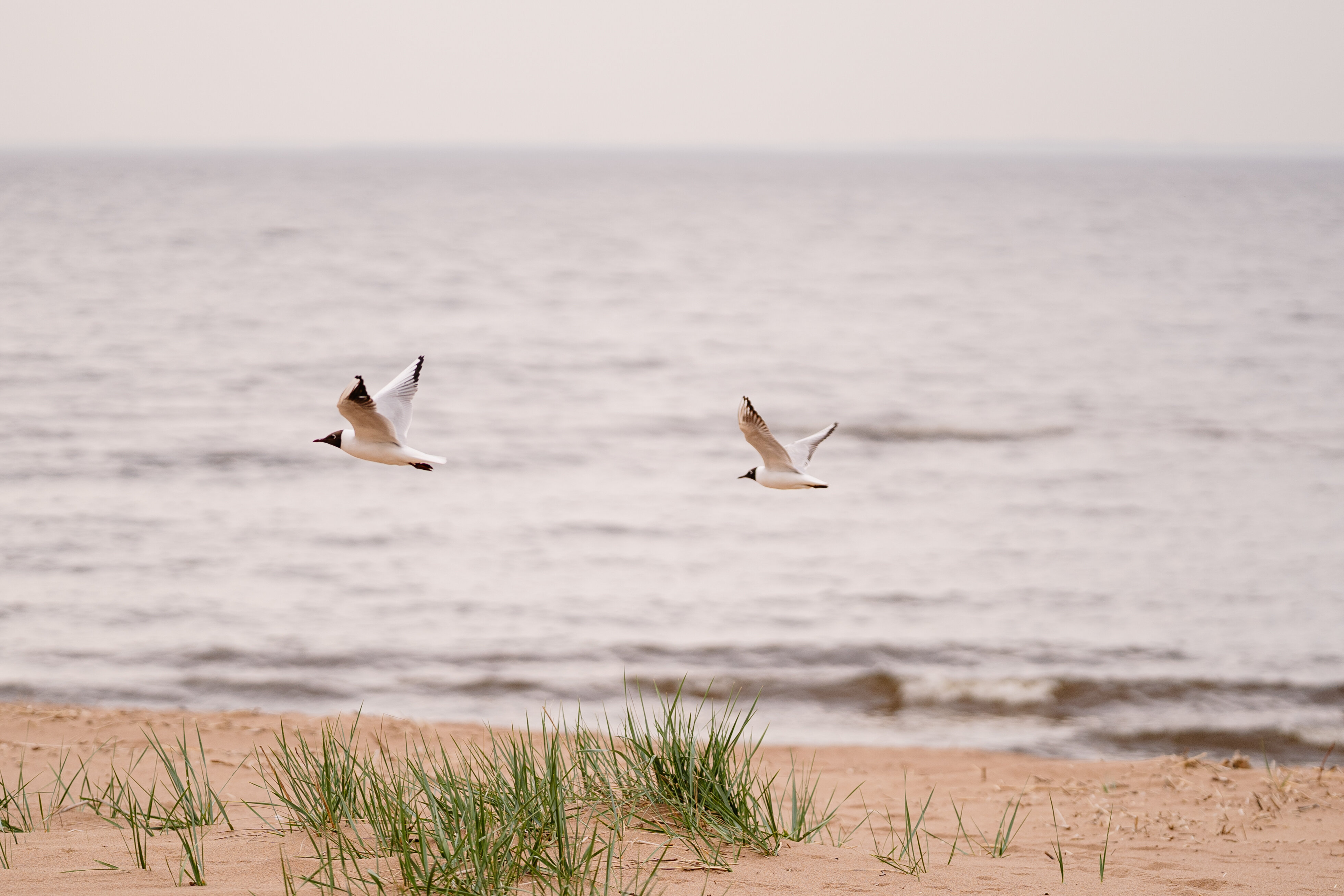 Фото Ривьера Апарт