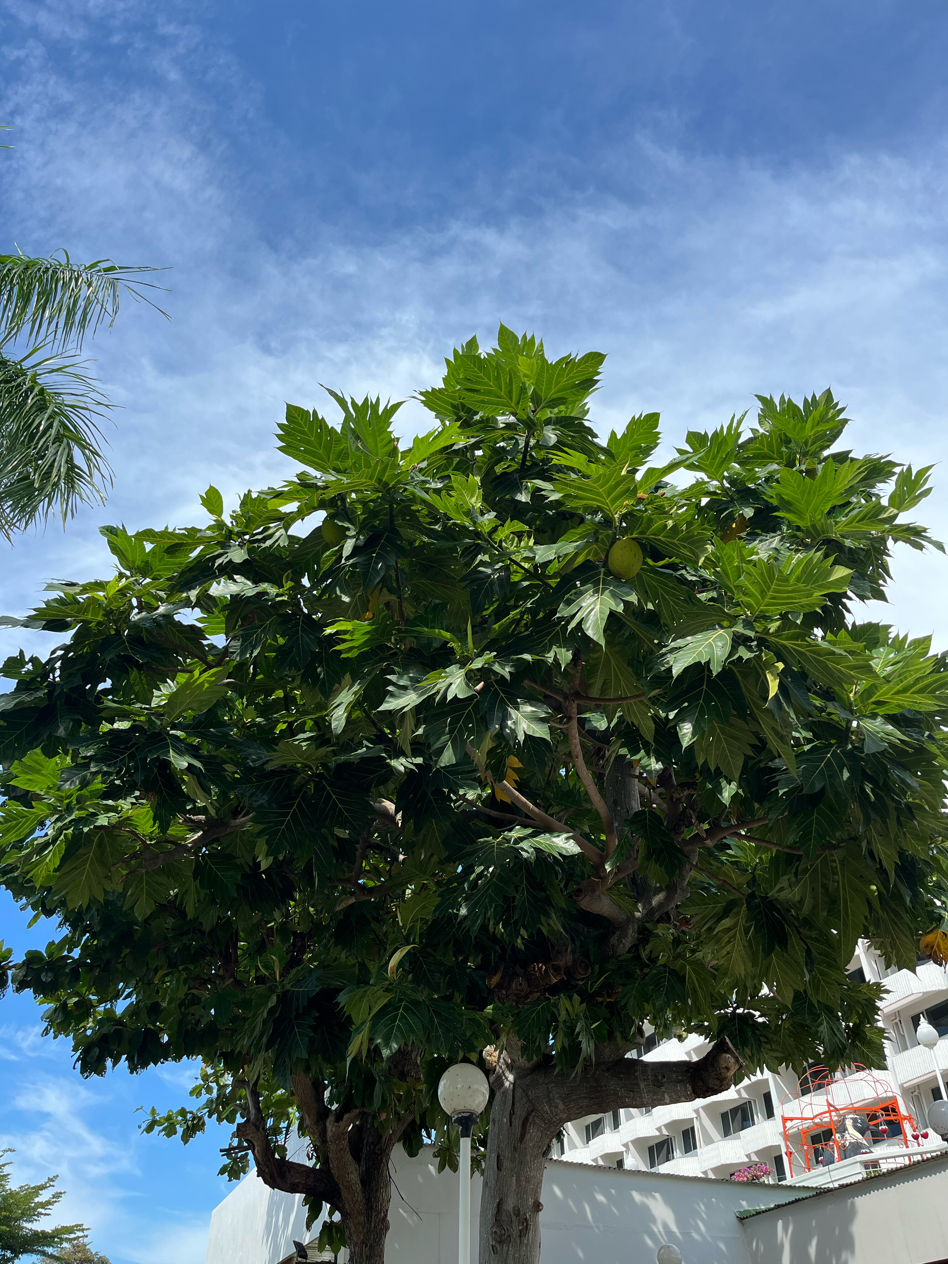 Фото Asia Pattaya Hotel