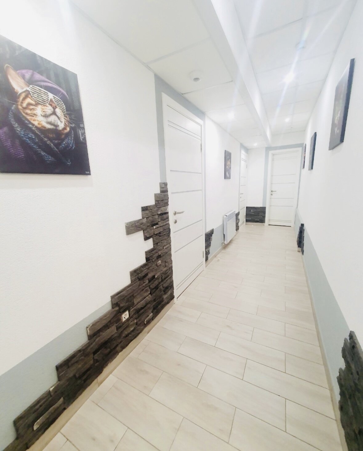 Фото Party and Sun