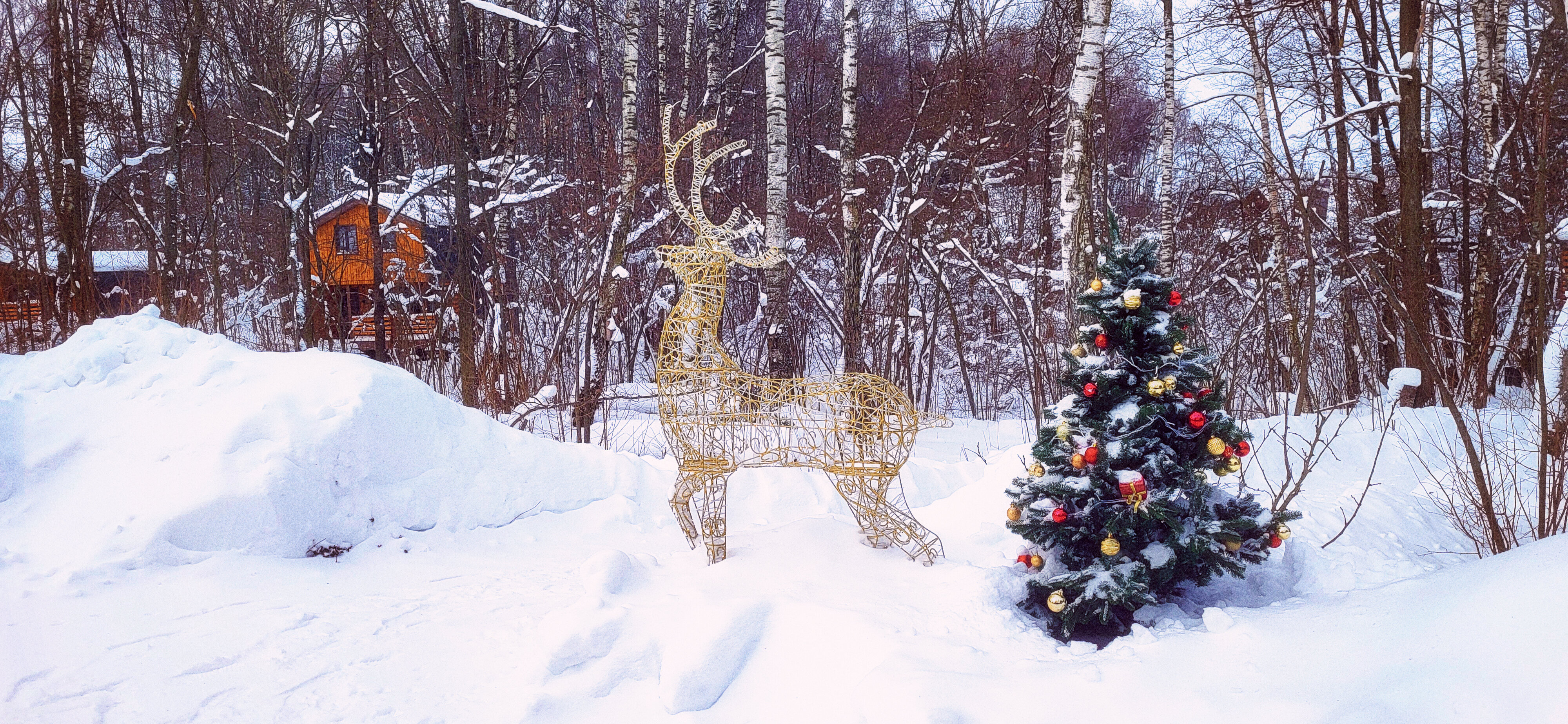 Фото Ореховая роща