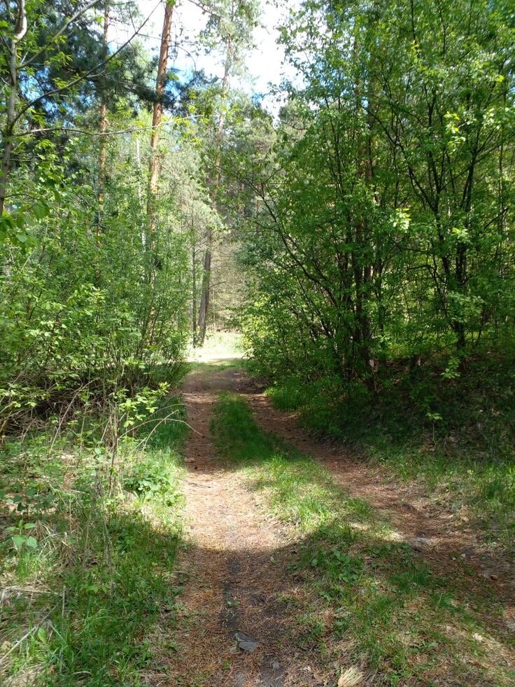 Фото Бурный