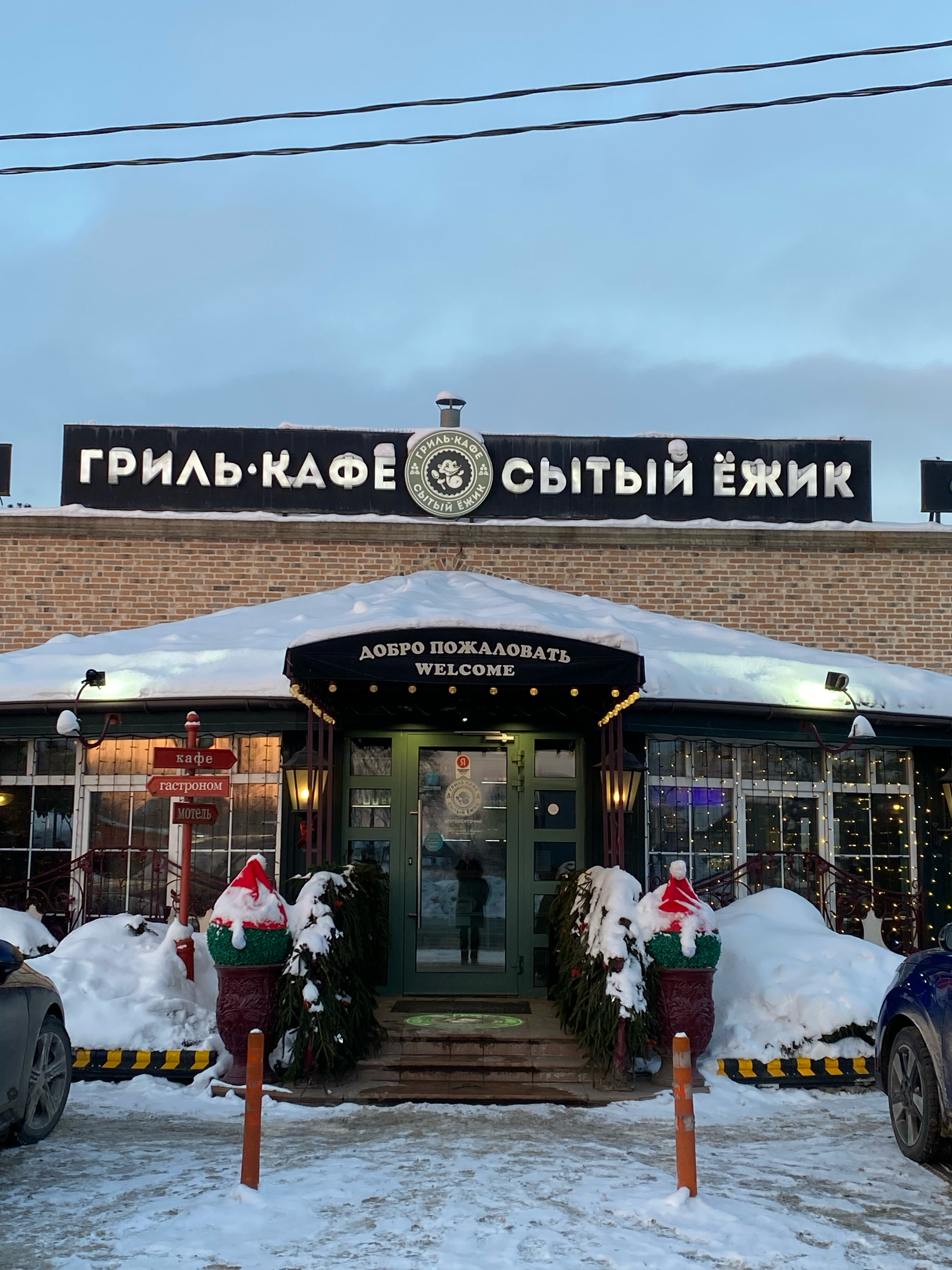 Фото Сытый Ежик