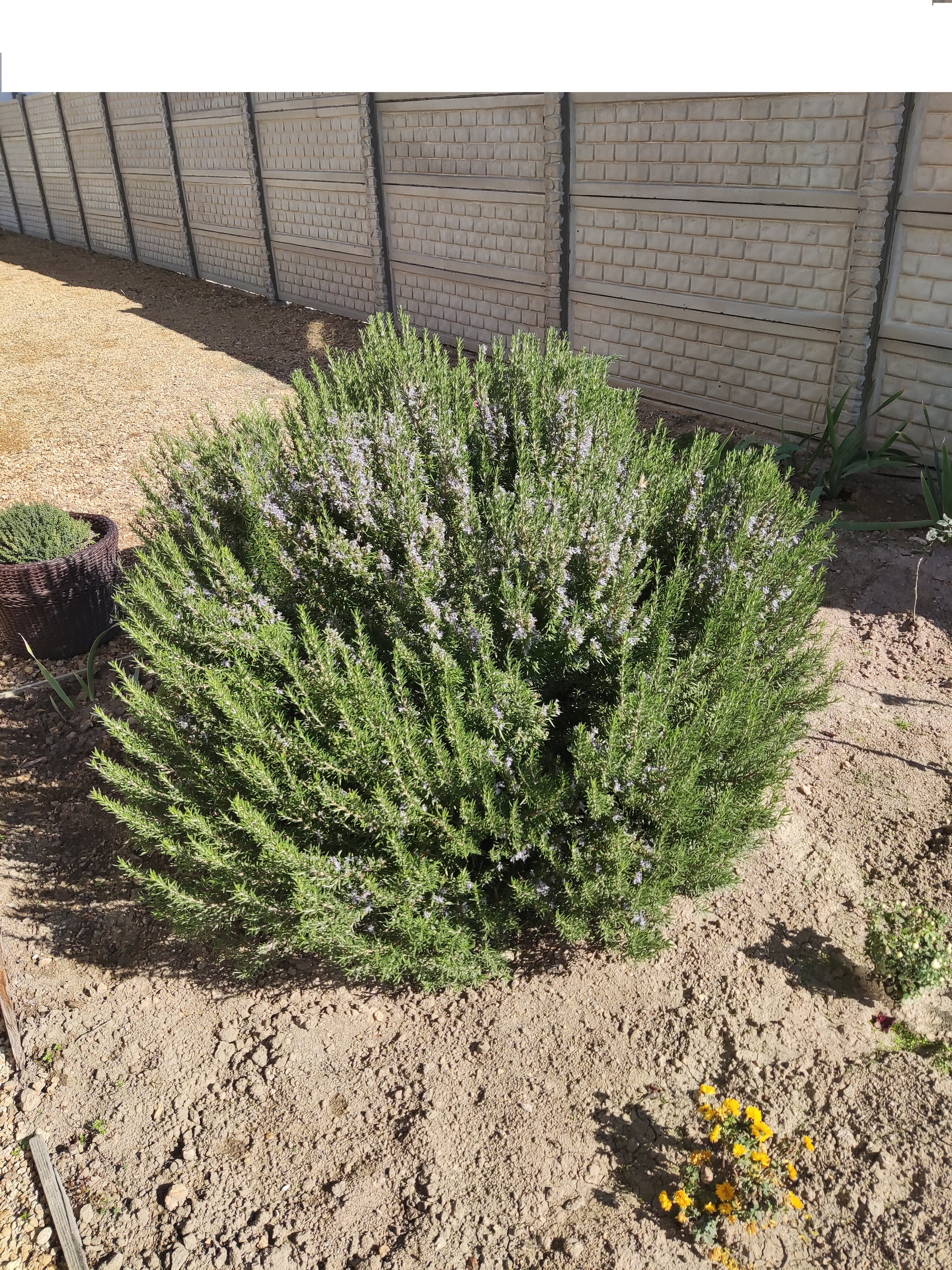 Фото Azursea