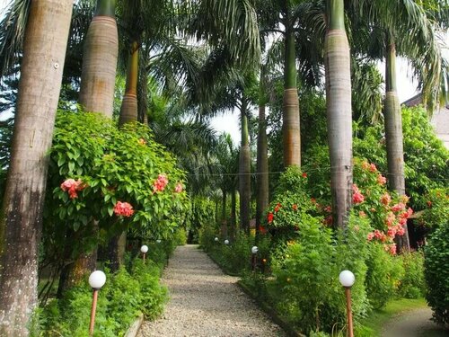 Гостиница Sauraha Resort в Парсе