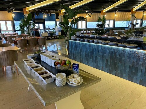 Гостиница Kaya Palas Hotel в Кыркларели