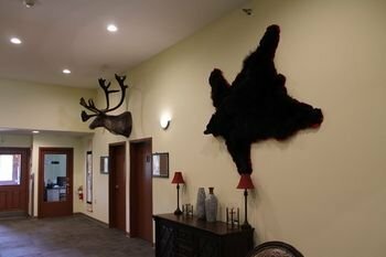 Гостиница Borealis Inn в Фэрбанксе