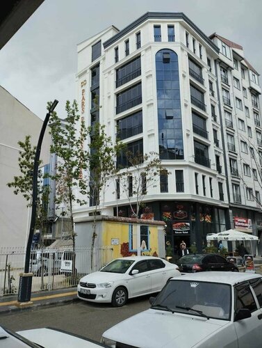Гостиница Pars Palas Hotel в Эдремите