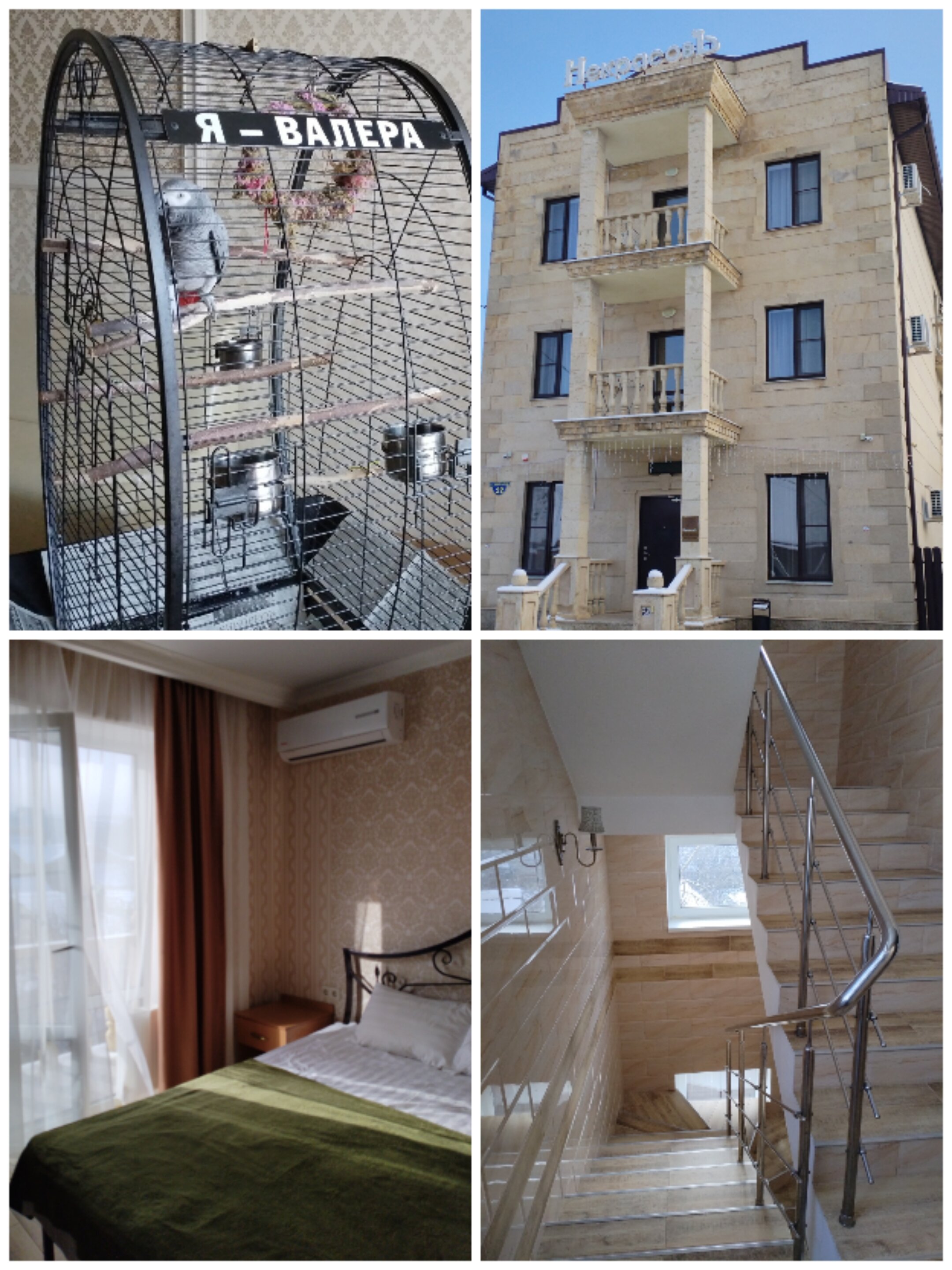 Фото НекрасовЪ