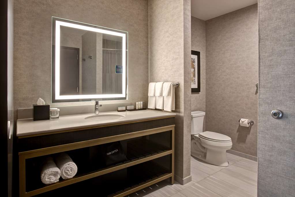 Фото Embassy Suites by Hilton Rockford Riverfront