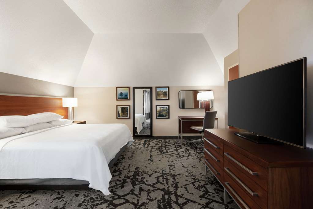 Фото Embassy Suites by Hilton Dallas Dfw Airport North