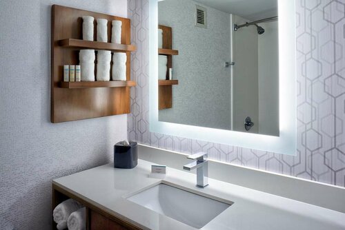 Гостиница Hilton Garden Inn Detroit Downtown в Виндзоре