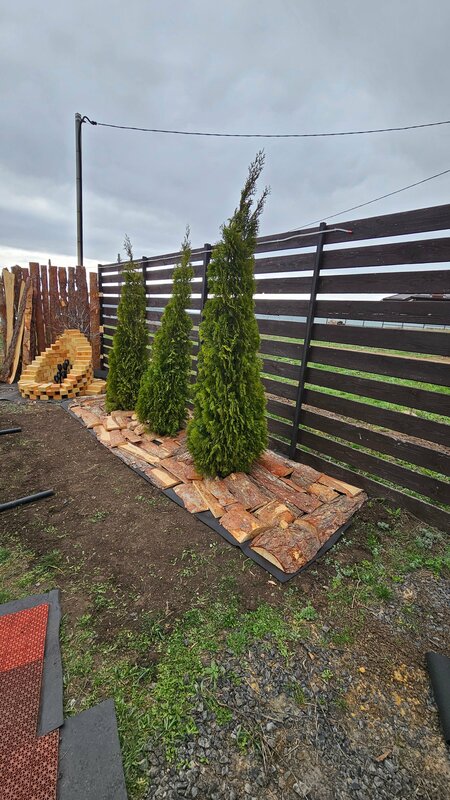 Домик в терновнике — фото 16