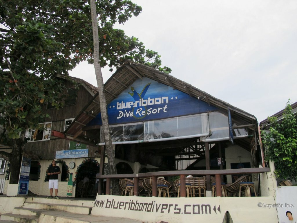 Hotel Blue Ribbon Dive Resort, Province of Batangas, photo