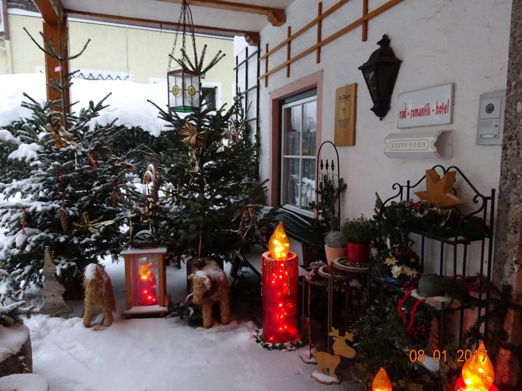 Фото Schernthaner