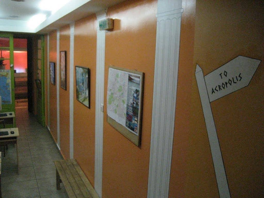 Фото Zeus Hostel