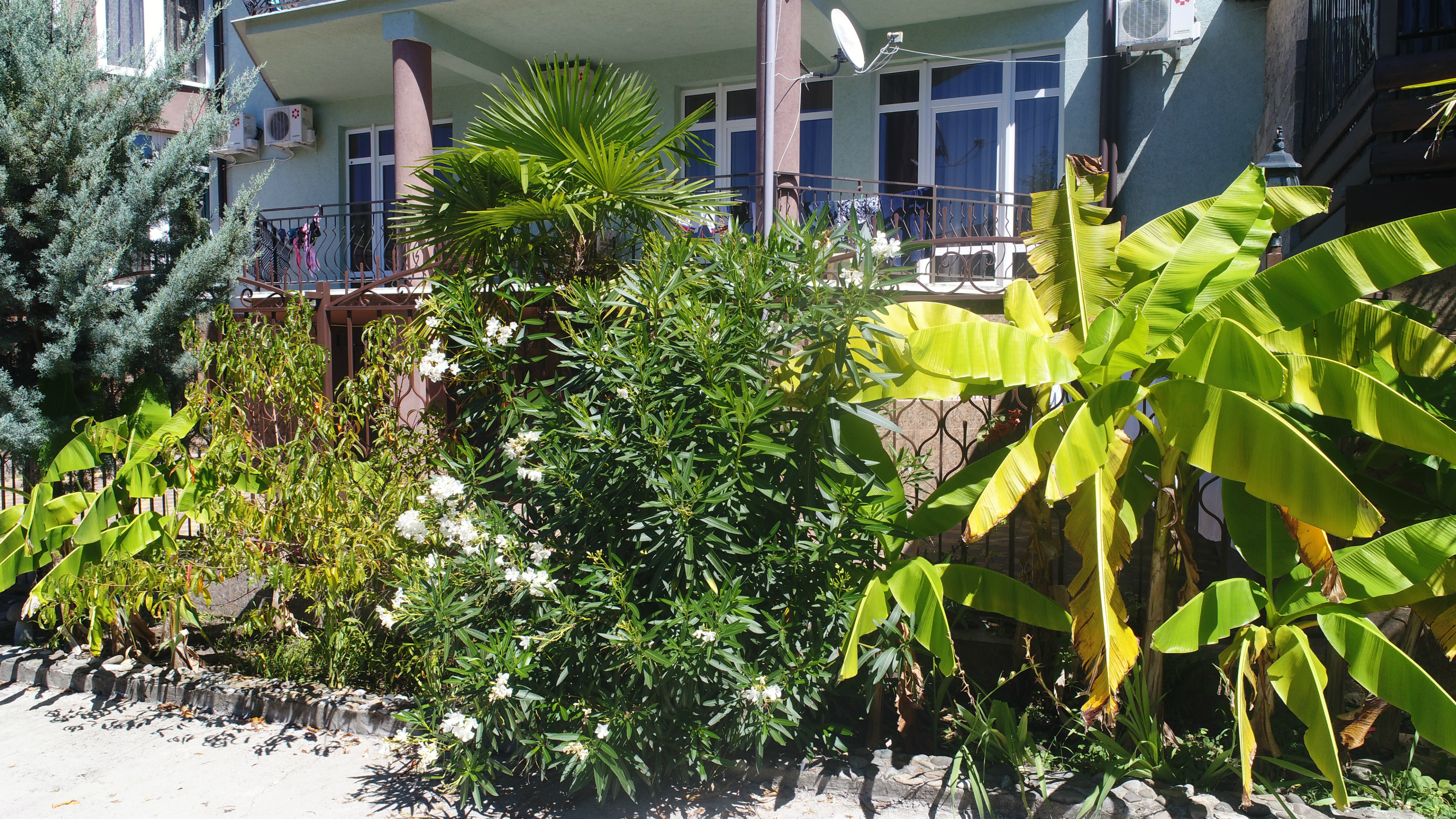 Фото Пани София