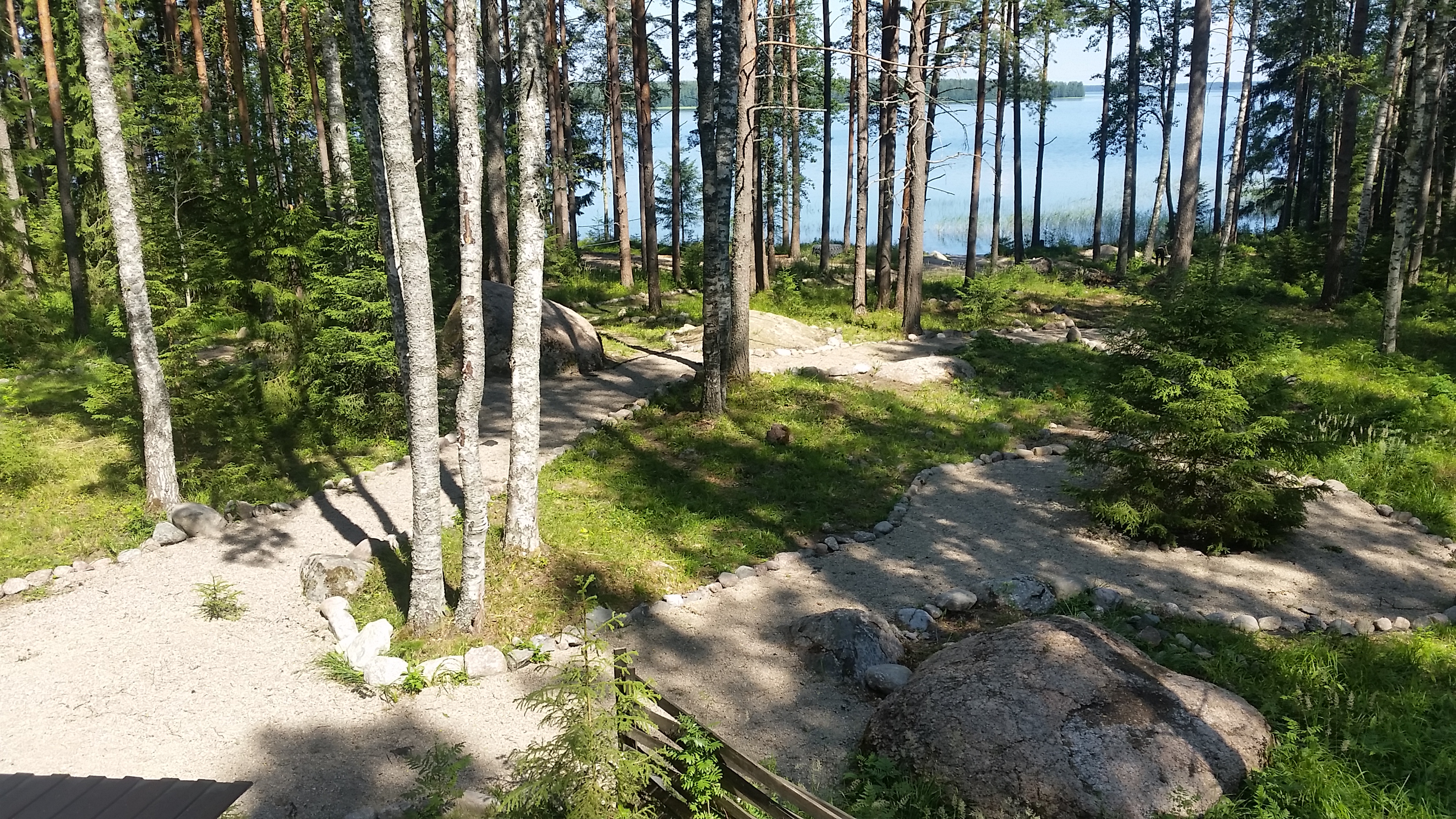 Фото Черная лиса