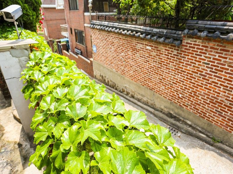 Фото Yoo'S Family Guest House