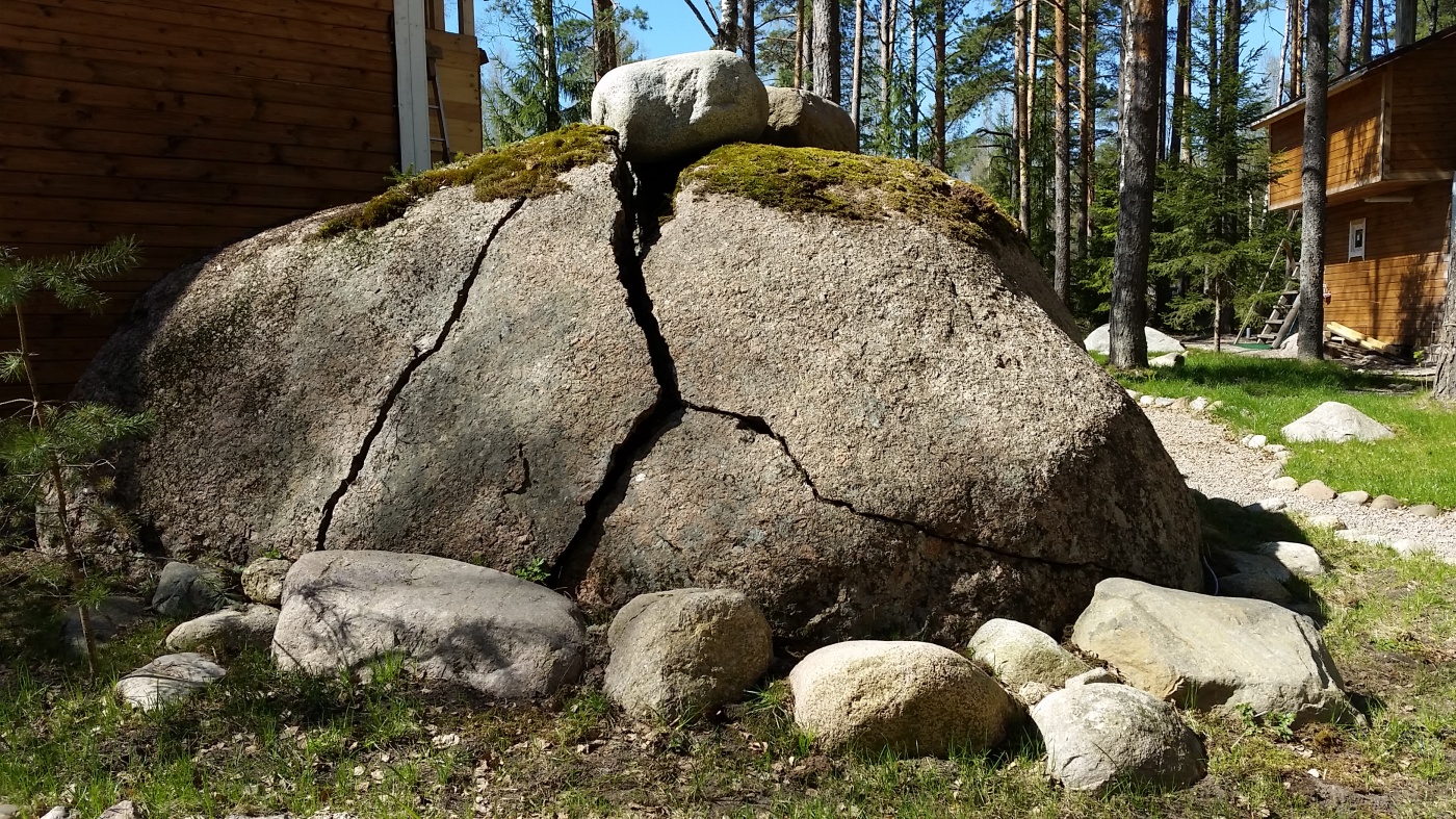 Фото Черная лиса