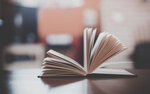 Нижнепечерская сельская библиотека (selo Nizhnepecherskoye, Selskaya ulitsa, 5), library