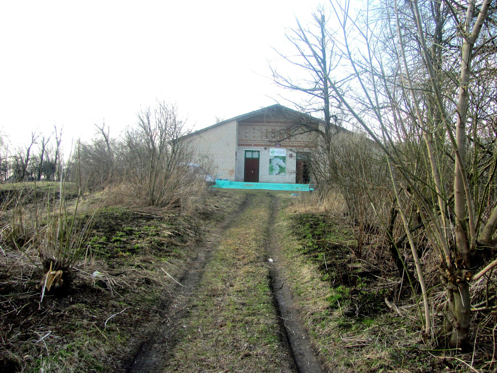 Дом культуры Быковичский сельский клуб, Брянская область, фото