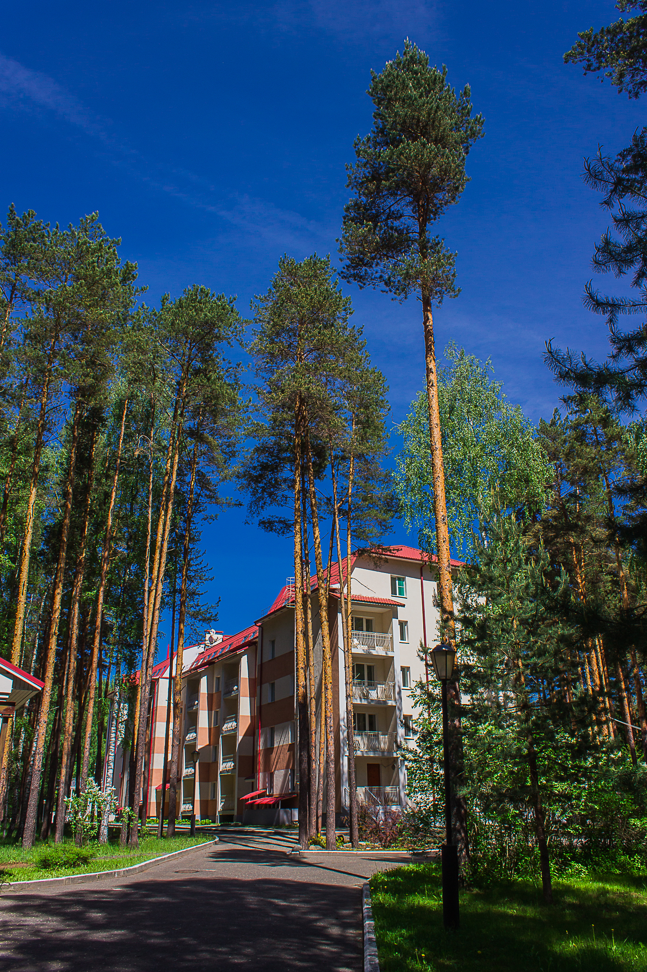 Фото Ясные зори