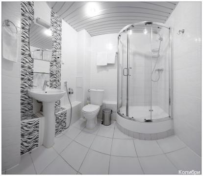 Фото Колибри