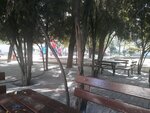 Nenehatun Park (Ankara Province, Etimesgut District, Kazım Karabekir Mah., Nenehatun Parkı), parque forestal