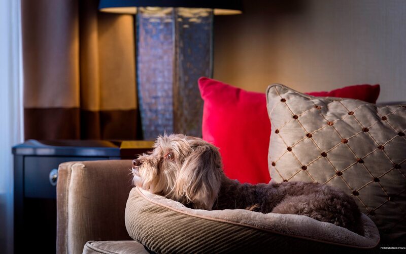 Фото Hotel Shattuck Plaza