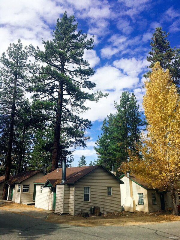 Гостиница Lakewood Cabins