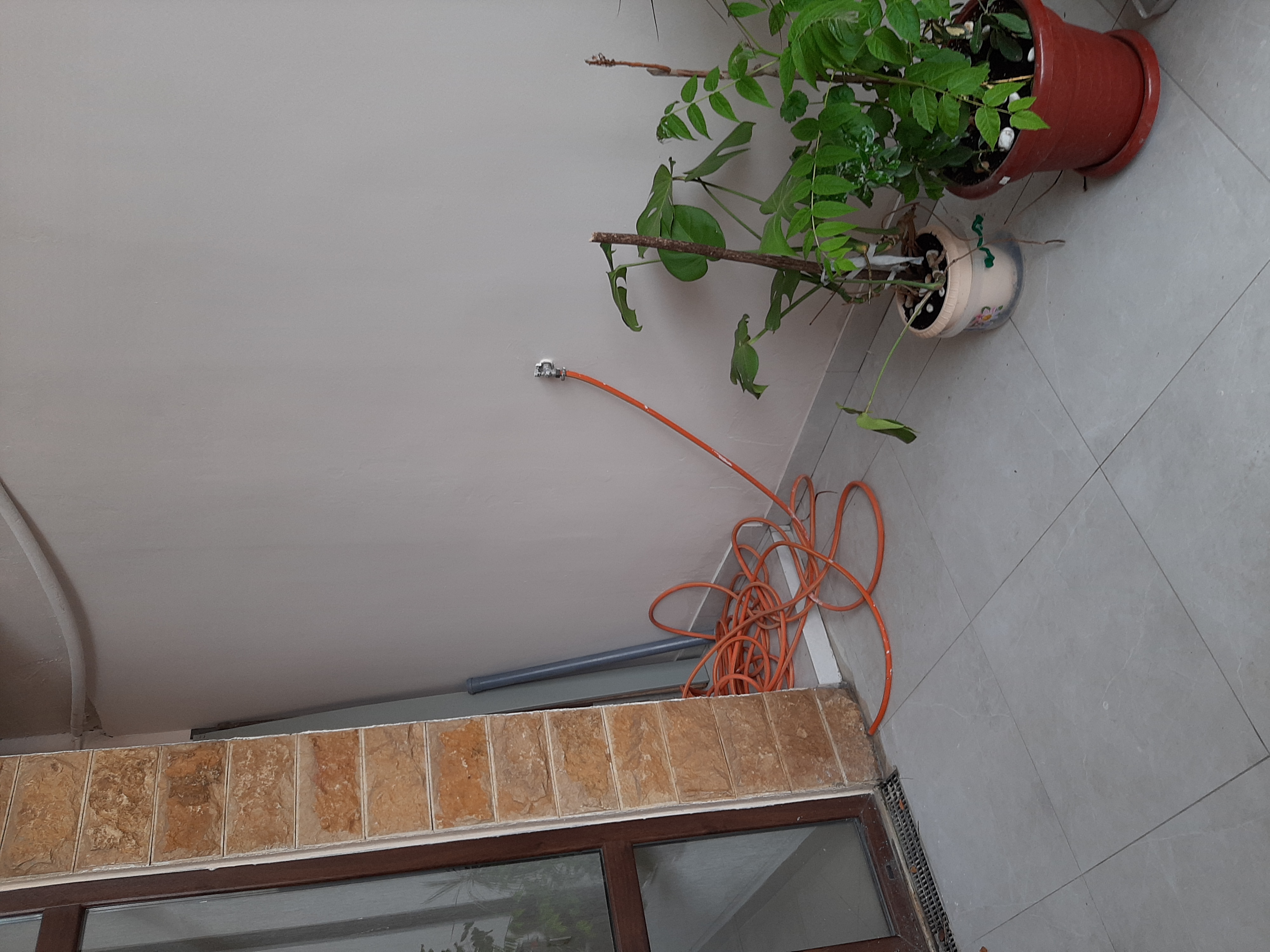 Фото Невские звезды