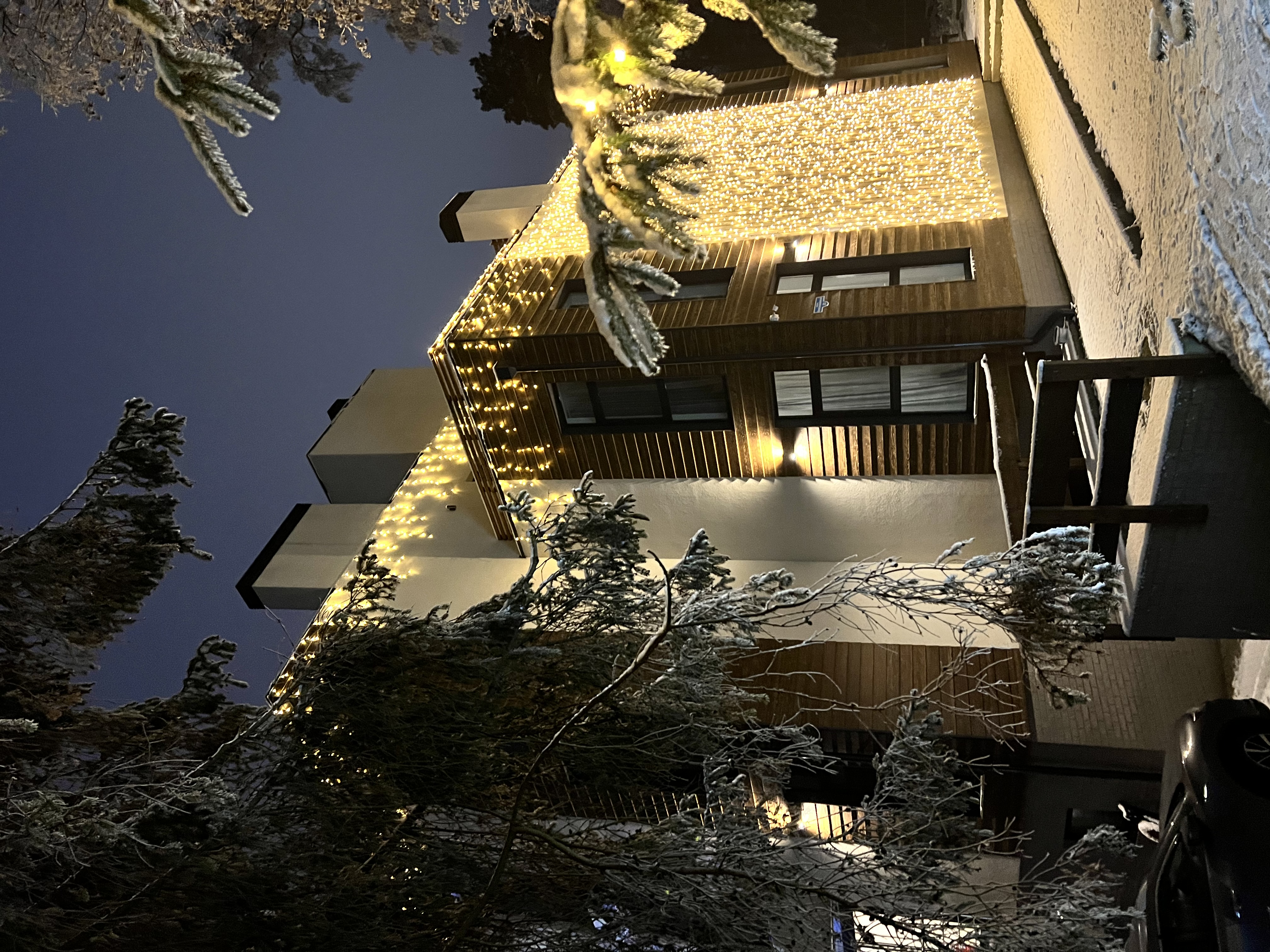 Фото Whale apart