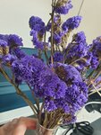 Colibri (ulitsa 345-y Dagestanskoy Strelkovoy Divizii, 1Л), beauty salon