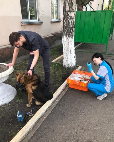 Жетілген әйелдердің анальды секс фотосуреттері