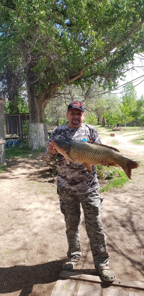 Фото Камышовый рай