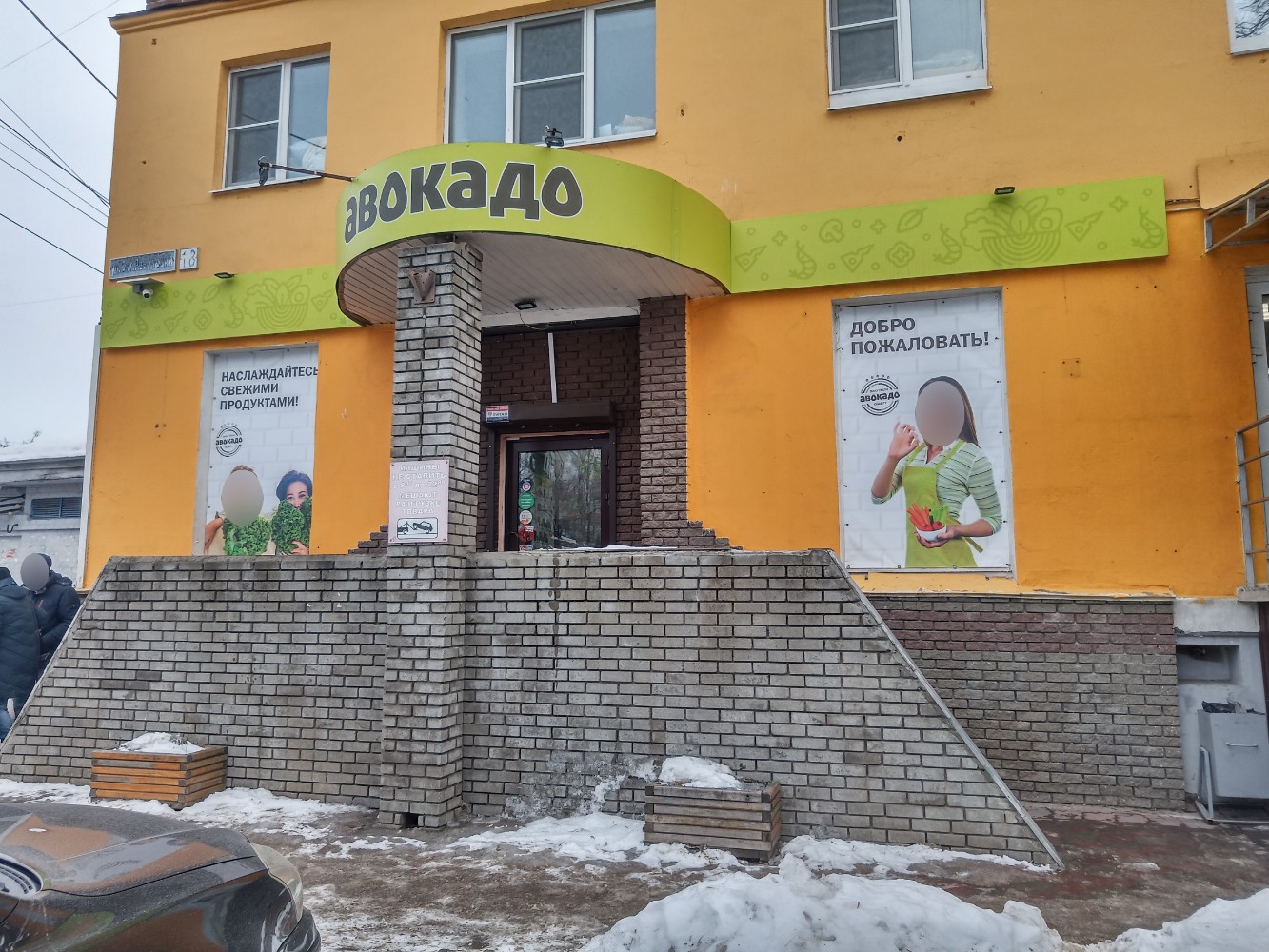 Авокадо ул невского 14в котлас фото