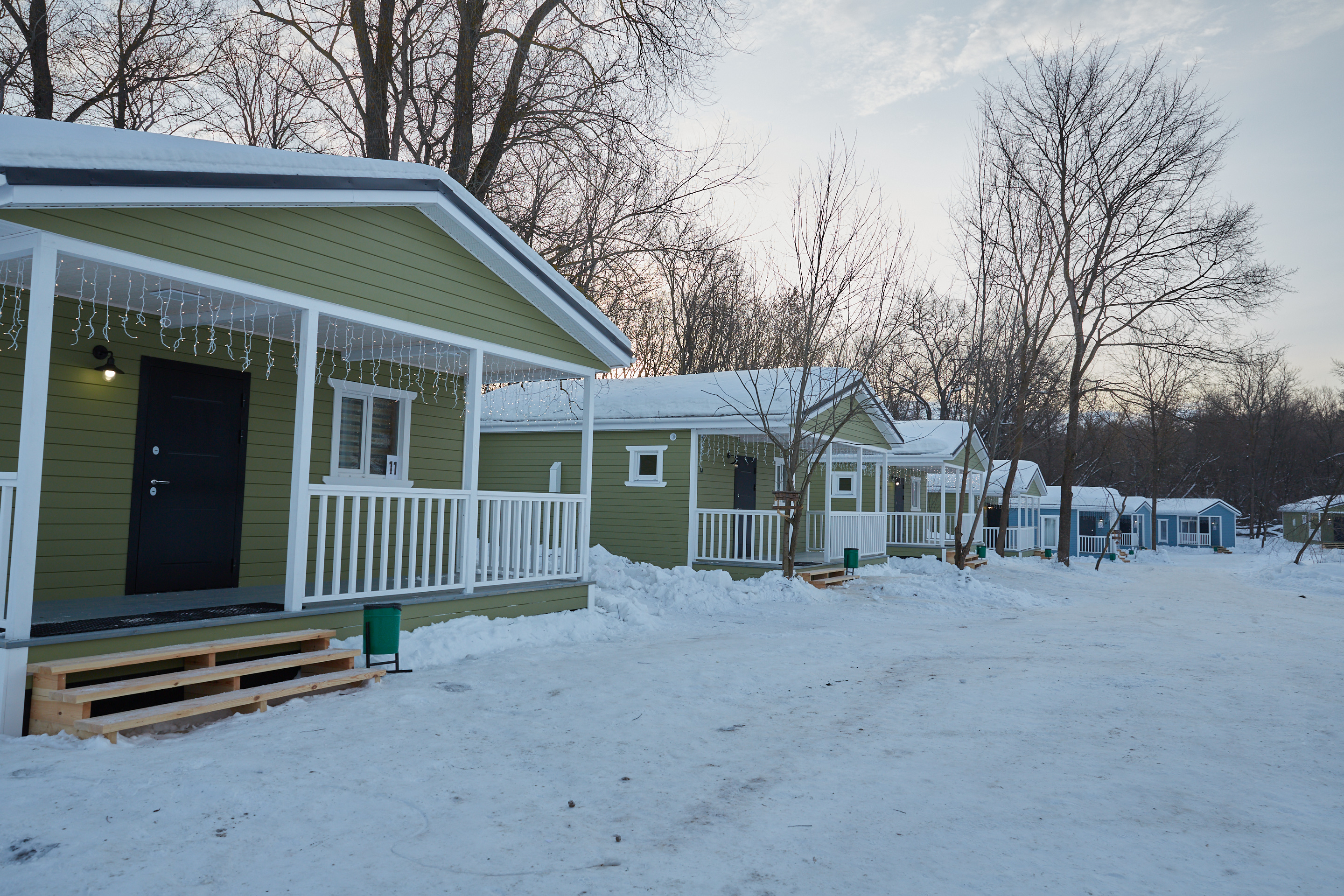 Фото Лес и Река