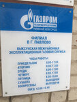 Газпром межрегионгаз (ulitsa Krasnyye Zori, 110), gas supply services